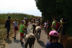 IMG_20180806_153430