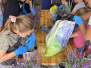 Blumen_25