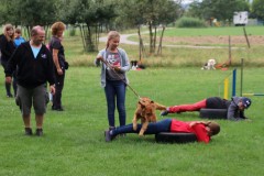 Hund2
