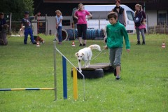 Hund3