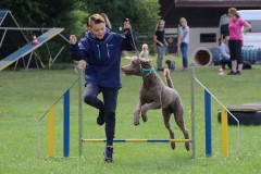 Hund4