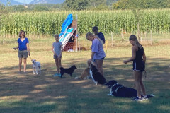 Hund_22_05