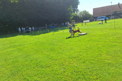 44_Hunde_25_4-scaled