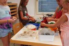 IMG-20180810-WA0012