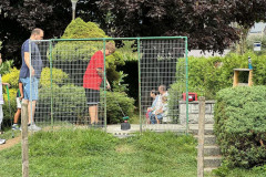 37_Minigolf24_5