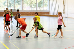 33_Unihockey24_3
