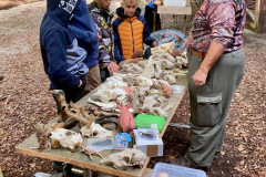 22_Wildbeobachtung-im-Wald_25_2