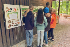 22_Wildbeobachtung-im-Wald_25_4