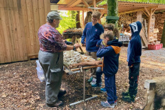 22_Wildbeobachtung-im-Wald_25_5